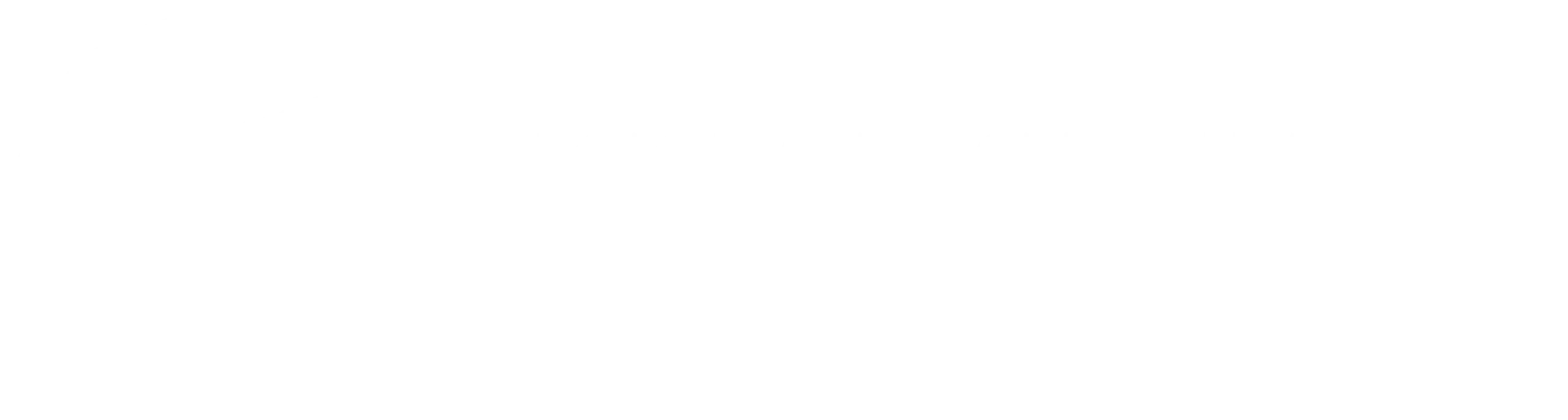 logo light